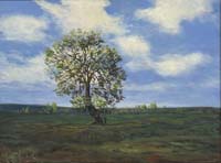 116-A